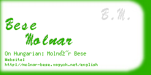 bese molnar business card